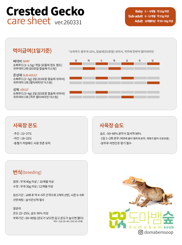크레스티드 게코 키우기 케어시트
